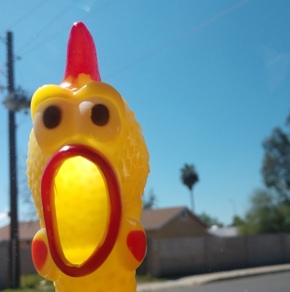 Meet your Posher, Boltzboi - Picture 1 of 1